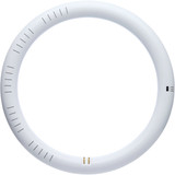 Satco 32W Equivalent 12 In. CCT-Selectable T9 Circline LED Tube Light Bulb S16511 543940