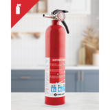 First Alert 1-A:10-B:C Rechargeable Home Fire Extinguisher HOME1 311861