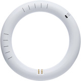 Satco 22W Equivalent 8 In. Circline T9 CCT Selectable LED Tube S16510 541499