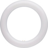 Satco 22W Equivalent 8 In. Circline T9 CCT Selectable LED Tube S16510 541499