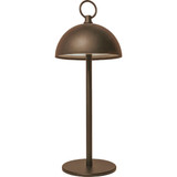 Westek Amerelle Branson Brown Rechargeable Indoor/Outdoor LED Lamp BL-16BRAN-RU