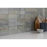 Emser Passion Gris 3 In. x 8 In. Glossy Porcelain Wall Tile (3.92 Sq. Ft. per Case)