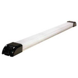 Grote Dome Light,Rectangle,White 61F01