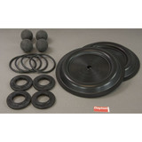 Dayton Pump Repair Kit,TPV,For 22A598; 34TJ44 22A614
