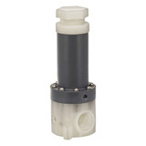 Plast-O-Matic Relief Valve,1/2 In,5 to 100 psi RVDTM050T-PP