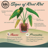 Sol Soils 1 Qt. Succulent Gritty Mix 01-003-01 730540