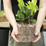 Sol Soils 4 Qt. Houseplant Chunky Mix