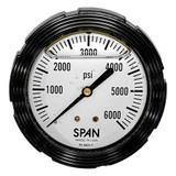 Span Industrial Pressure Gauge LFC210-600-PSI-G-CERT