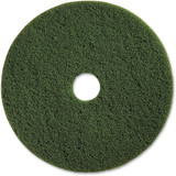 Genuine Joe  Cleaning Pad 90313
