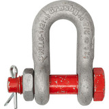 Crosby D-Shackle,9,500 lb Load Cap,Carbon Steel 1019819