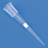 Globe Scientific Filtered Pipet Tip,0.1 to 10uL,PK960 150800