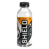 Sword Performance Sports Drink,Orange,16.9 oz,16.9 oz 02-02-16.9-12-OR