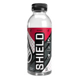 Sword Performance Sports Drink,Berry,16.9 oz,16.9 oz 02-02-16.9-12-BR
