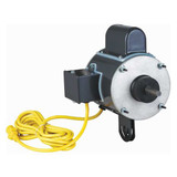 Dayton Motor,1/3 HP,1100/850,Non-Standard,115V GGS_47828