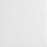 Armstrong Ceiling Tile,White,24" L x 24" W,PK4 2822NTEMP