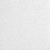 Armstrong Ceiling Tile,White,24" L x 24" W,PK4 2824NTEMP