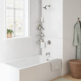 Zenith Zenna Home Metal 12 In. x 97 In. Shower Caddy 2156NN 467284
