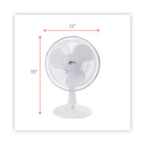 FAN,12",OSCILLATING,WH