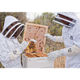Harvest Lane Honey Medium Beehive, 10 Frames
