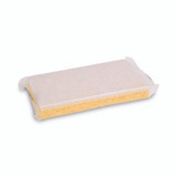 SPONGE,LIGHT DUTY,SCRUB