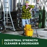CLEANER,SMPLGRN,LMN,1G,6