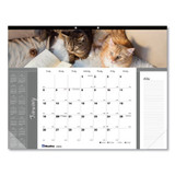 DESK PAD,FURRY,CATS,LG,WH