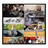 Blueline® DESK PAD,FURRY,CATS,LG,WH C194115 USS-REDC194115