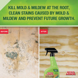 Mold Armor
