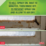 Mold Armor Rapid Clean Remediation 32 Oz. Mold Removal Trigger FG590 639576