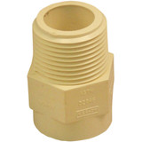 Charlotte Pipe 3/4 In. Male Thread to CPVC Adapter (10-Pack) CTS 02109C 0800HA