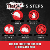RatX Disposable Rat & Mouse Pre-Measured Bait Tray (4-Pack) 620105 702573