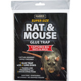 Harris Glue Rat & Mouse Trap BLKRAT-1