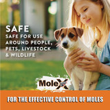 MoleX