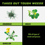 Ortho GroundClear 24 Oz. Trigger Spray Weed & Grass Killer
