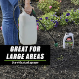 Ortho GroundClear 32 Oz. Concentrate Weed & Grass Killer 4650306 747700
