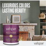Int Matte Clear Bs Paint