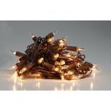 Home Impressions Clear 50-Bulb Mini Incandescent Light Set with Brown Wire