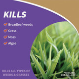 Captain Jack's 1g Rtu Weed&grass Killer 2603 704796