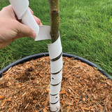 Master Mark 4 In. W. x 24 In. L. Spiral Tree Protector (2-Pack)