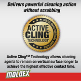 Moldex