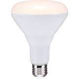 Satco 10w Br30 Led Med Bulb S39628 501886