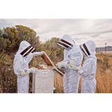 Harvest Lane Honey Complete Starter Beehive, 9 Frames