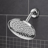 Waterpik RainFall+ Rain Shower 1-Spray 1.8 GPM Fixed Showerhead, Chrome