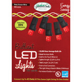 J Hofert Red 100-Bulb M5 LED Light Set