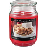 Candle-Lite Everyday 18 Oz. Apple Cinnamon Crisp Jar Candle 3297021