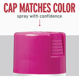 Rust-Oleum Stops Rust 12 Oz. Gloss Poppy Pink Spray Paint Protective Enamel 347026 787966