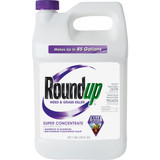 Roundup 1 Gal. Super Concentrate Weed & Grass Killer 5004215