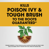 Roundup 24 Oz. Ready-To-Use Poison Oak & Ivy Plus Tough Brush Killer