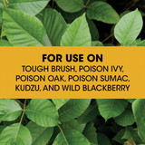 Roundup 24 Oz. Ready-To-Use Poison Oak & Ivy Plus Tough Brush Killer NULL 701532