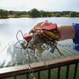 Master Magnetics 5 in. 150 Lb. Heavy Duty Retrieving Magnet 07542 362662